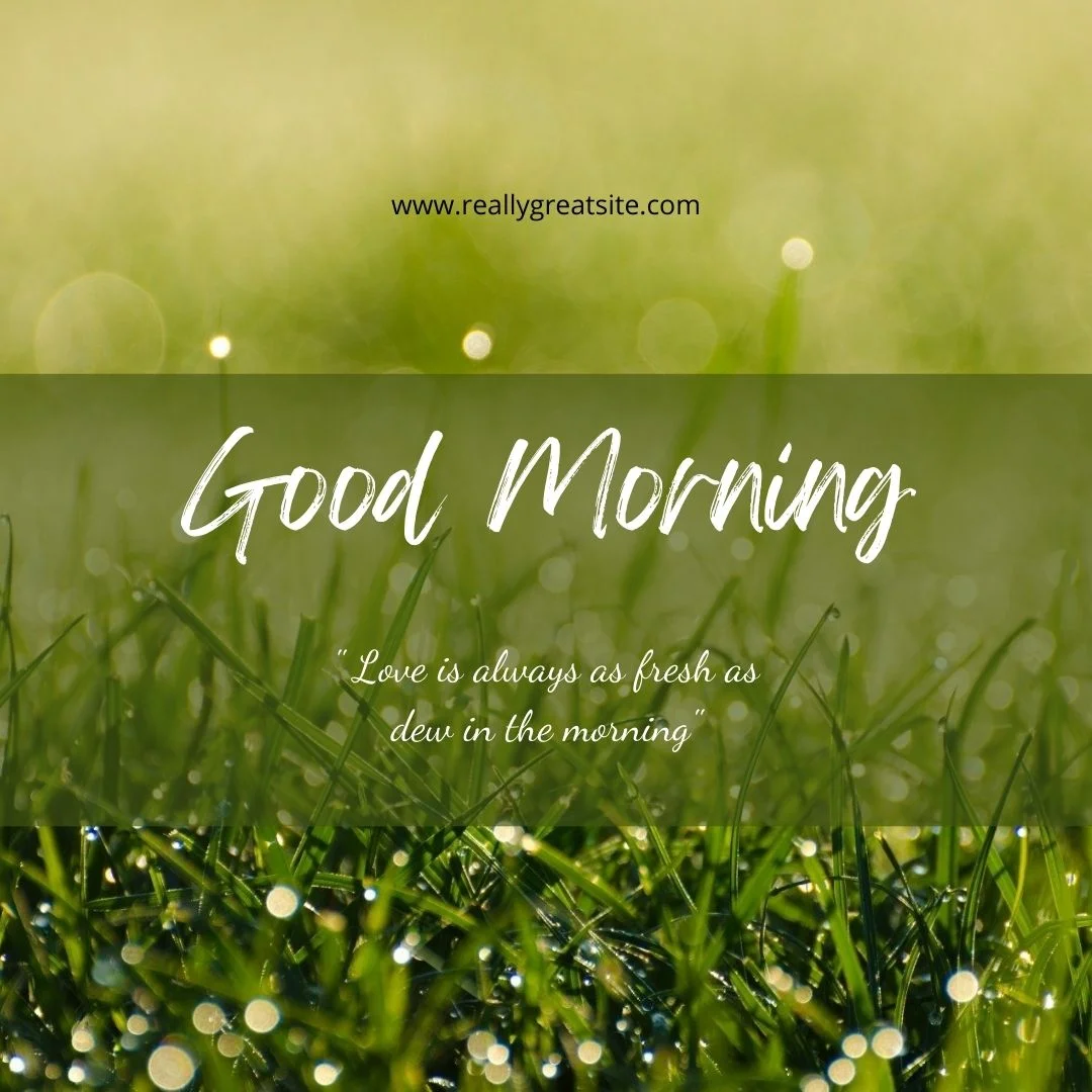 80+ Good morning images free to download 15
